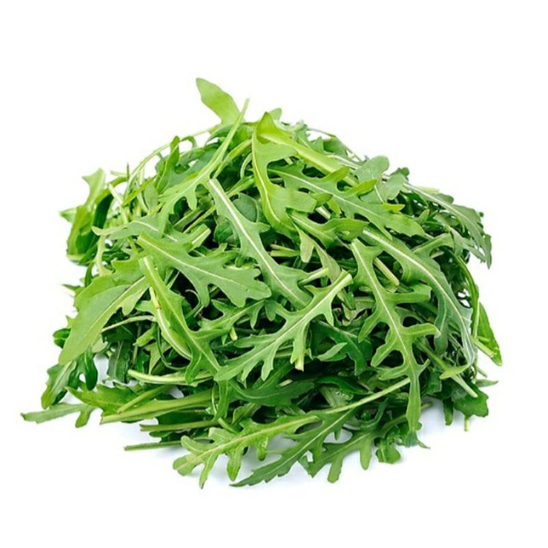 Hạt giống rau thơm Wild Rocket