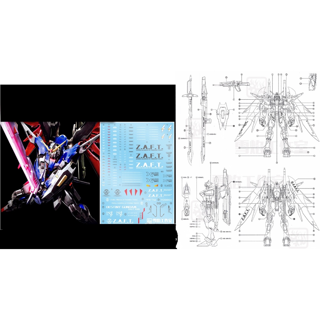 Decal nước MG Destiny Gundam