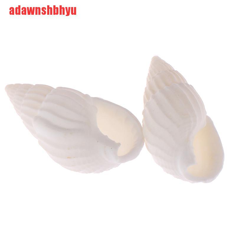 [adawnshbhyu]100pcs Natural Mini Spiral Sea Shell Craft decoration DIY handmade  Accessories