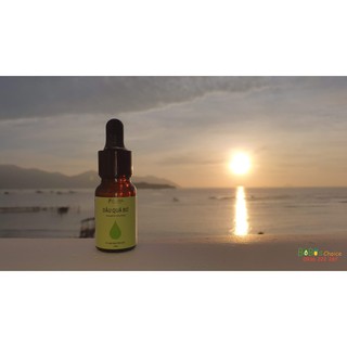 Dầu quả bơ ép lạnh Pơ Lang 10ml - 30ml