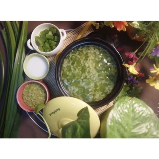 1kg CỐM NGUYÊN CHẤT KHÔ TÚ LỆ
