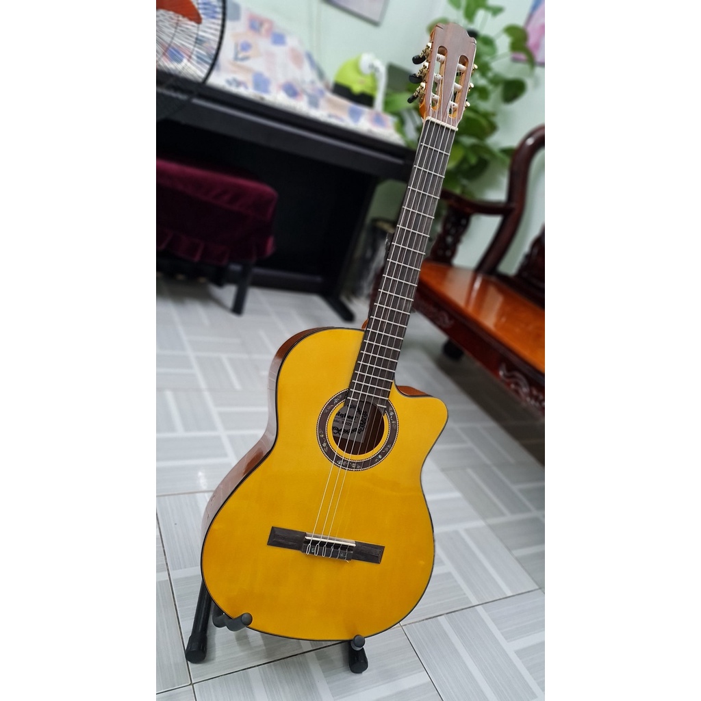 Đàn guitar classic Bolgheri B02SC (Tặng kèm bao da 3 lớp)