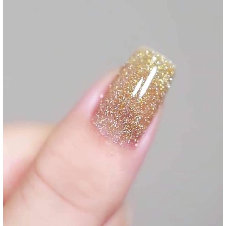 Sét sơn nhũ flash vendeeni