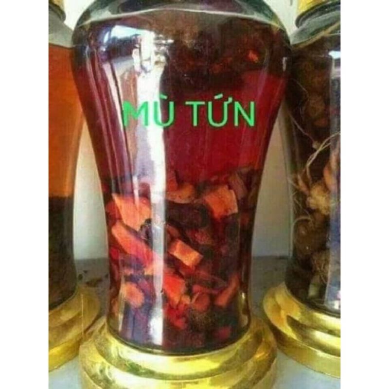 RỄ CÂY MÚ TỪN