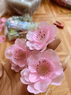 Hoa Anh đào cao cấp