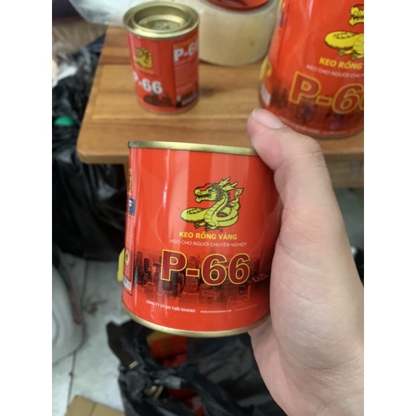 Keo rồng vàng P66