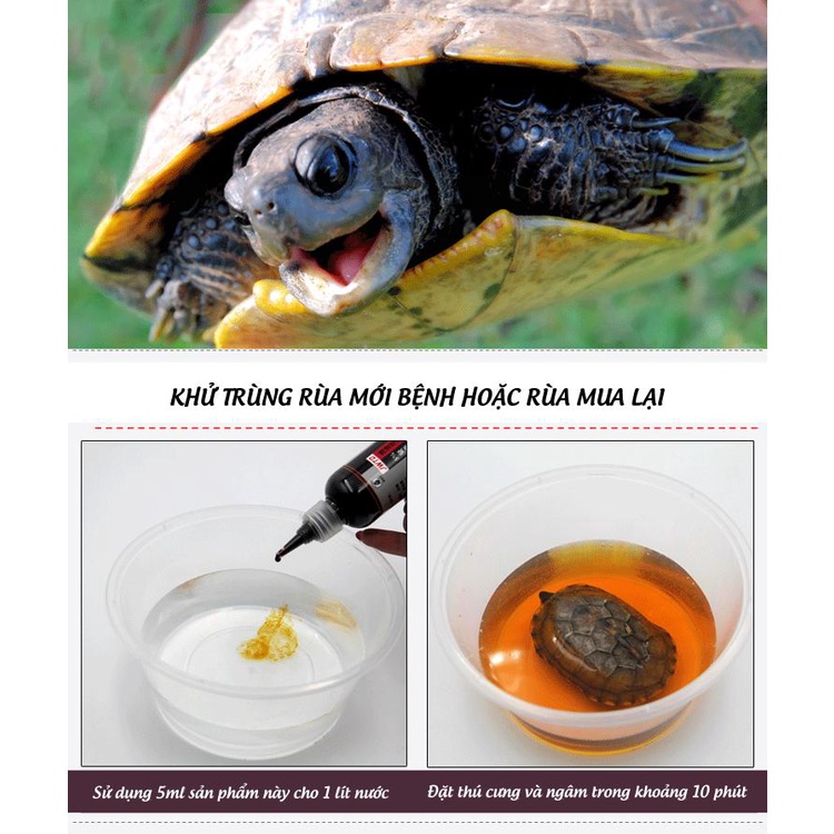 Dung Dịch Iốt Povidone 5% | Sát Trùng - Chữa Lành Vết Thương Dành Cho Bò Sát (Rùa, Rắn, Iguana...)