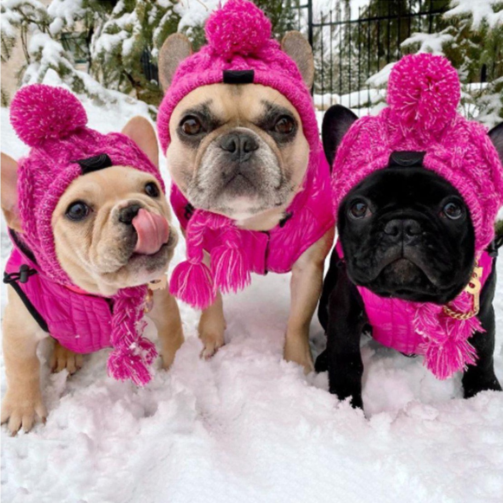 GIOVANNI Mũ Mềm Mại Chống Gió Giữ Ấm Cho Thú Cưng