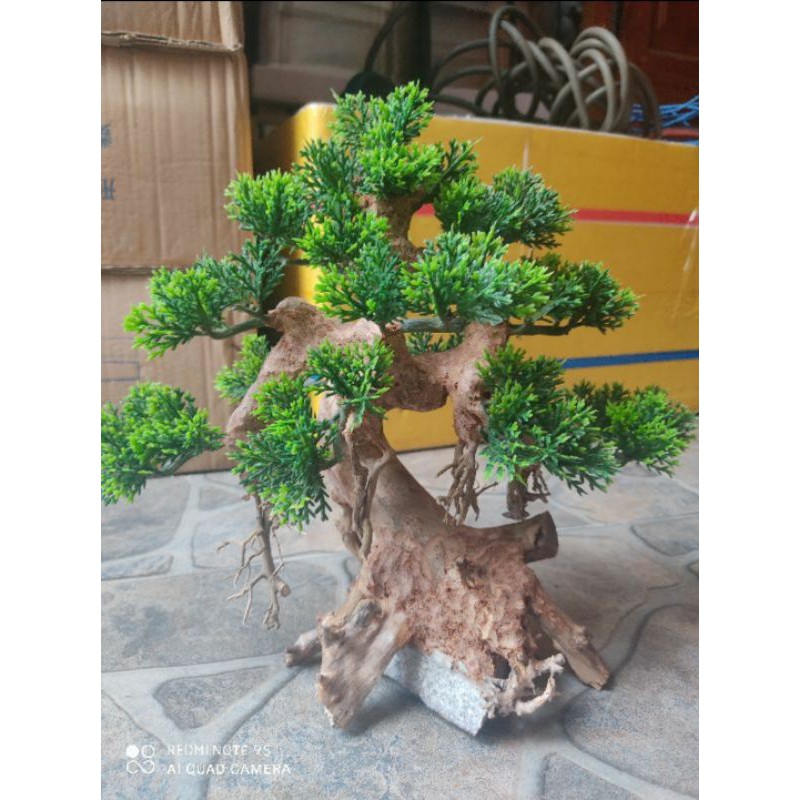 Lũa bonsai ghép cây giả, lũa bonsai thủy sinh, trang trí bể thủy sinh