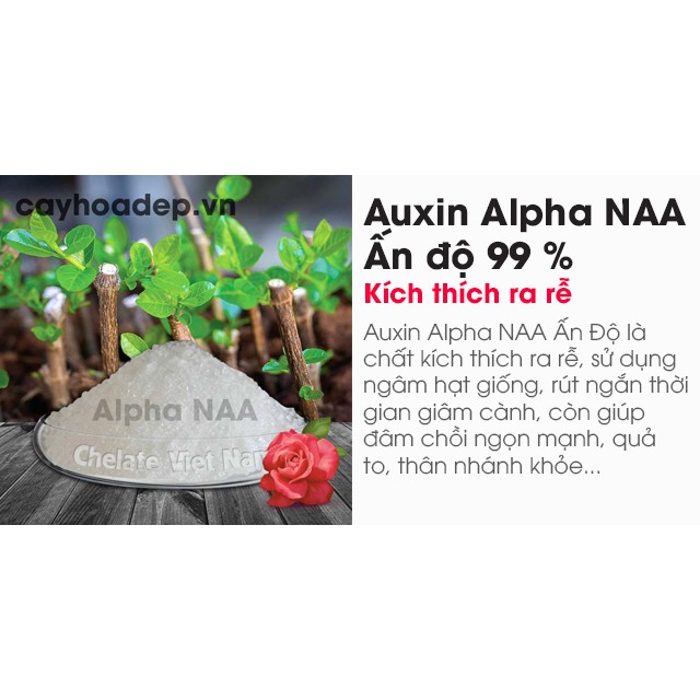 Siêu kích thích ra rễ Auxin Alpha NAA Ấn độ 99% không tan trong nước 100gram