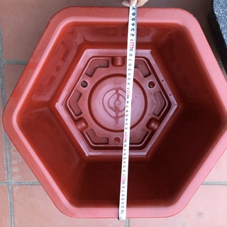 Set 5 chậu lục giác trồng cây fac 480 đỏ kt 47x28cm