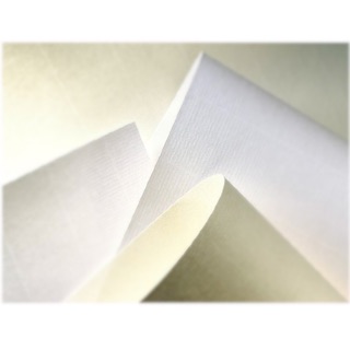 [5 tờ A4] Giấy vẽ màu nước Canson 225gsm cao cấp