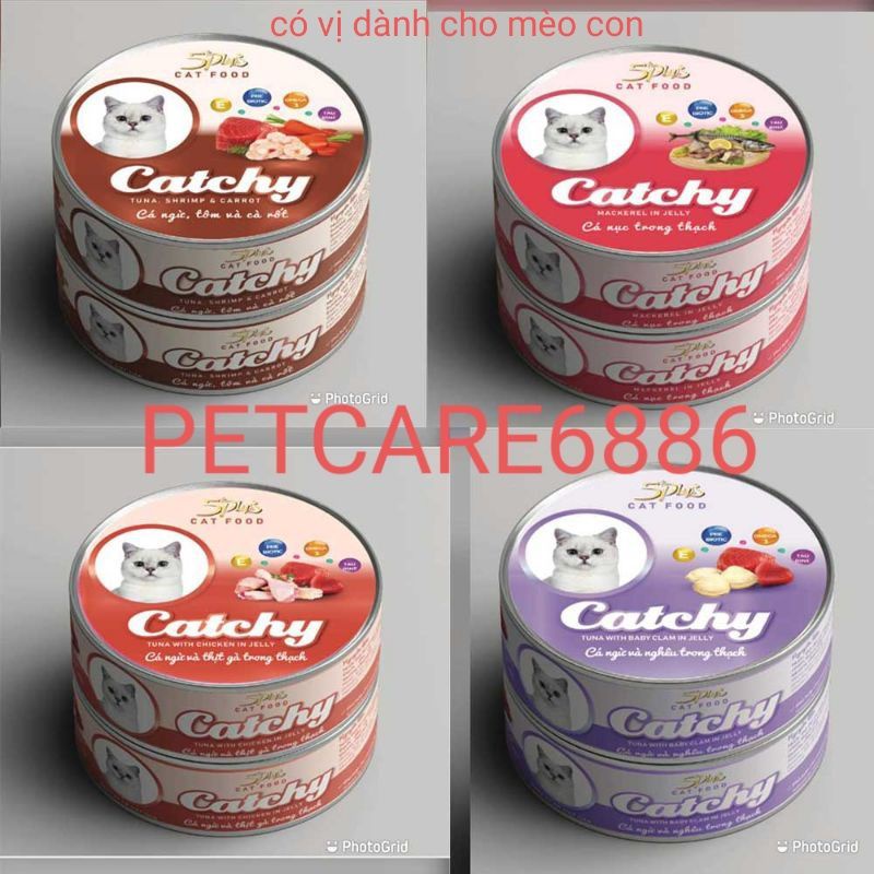 Pate mèo catchy lon 170g thức ăn mèo dạng thạch hãng 5plus