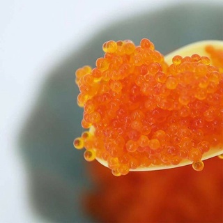 TRỨNG CÁ CHUỒN TOBIKO 500GR