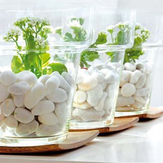 SỎI TRẮNG TRANG TRÍ 500 GR (đủ cỡ)