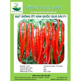 Hạt giống ớt dài ớt đậu đũa - trái nhiều, giàu vitamin - mua 3 tặng 1 cùng loại1