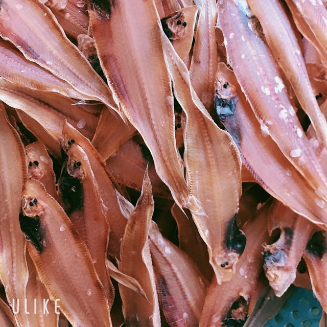 khô cá lưỡi trâu Phan Thiết nhà làm loại ngon 500g. Shop Khô Phan Thiết