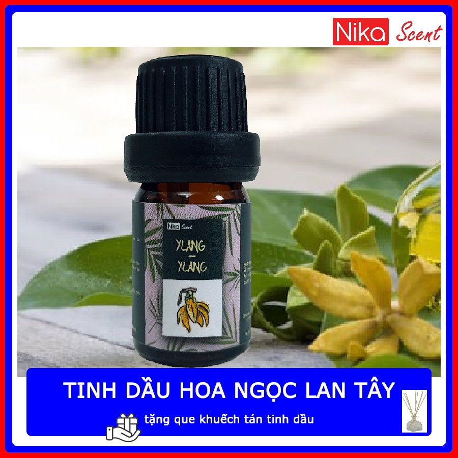 Nikascent Tinh dầu thiên nhiên (50ml) giúp khử mùi, thơm phòng, giảm căng thẳng, làm sạch không khí