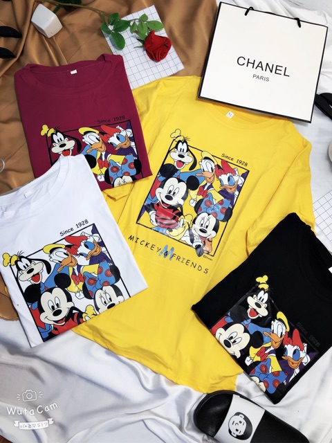 [55] [HÌNH THẬT]áo thun nữ ⚜️FREESHIP⚜️ Thun Nữ Hàng Unisex Phông Nữ Quảng Châu [Thun Nu] | BigBuy360 - bigbuy360.vn