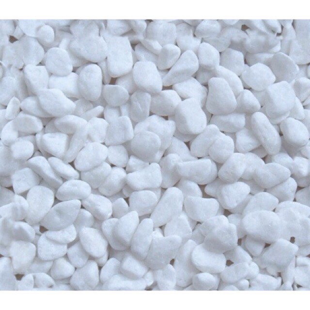 Sỏi trắng trải nền bể cá 1kg