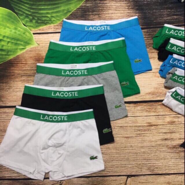 Combo 5 quần sịp đùi nam lacoste