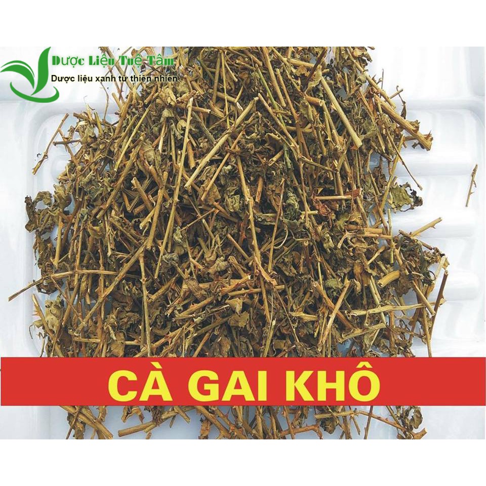 Cây cà gai leo - đạt chuẩn GACP - WHO