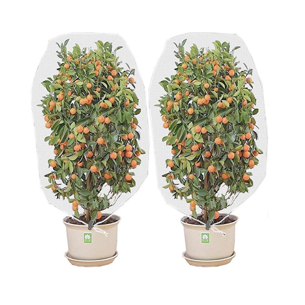Vỏ Bọc Thực Vật Giữ Ấm Chống Lạnh Chống Đóng Băng
