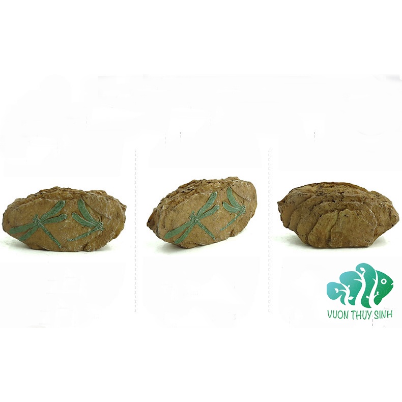 Mô hình bộ hoá thạch thời tiền sử trang trí bể cá, bể thuỷ sinh