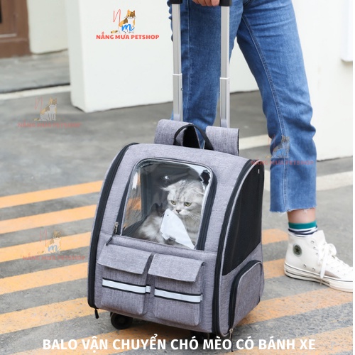 Balo cho mèo, balo du lịch cho chó mèo có bánh xe đẩy, túi vận chuyển chó mèo