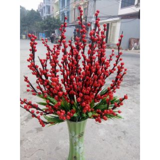 100 chùm Quả đỏ làm cành đào đông