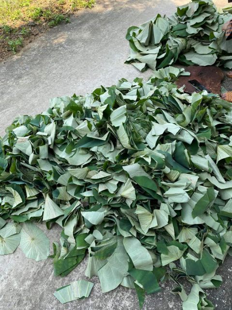 LÁ SEN KHÔ 1KG | BigBuy360 - bigbuy360.vn