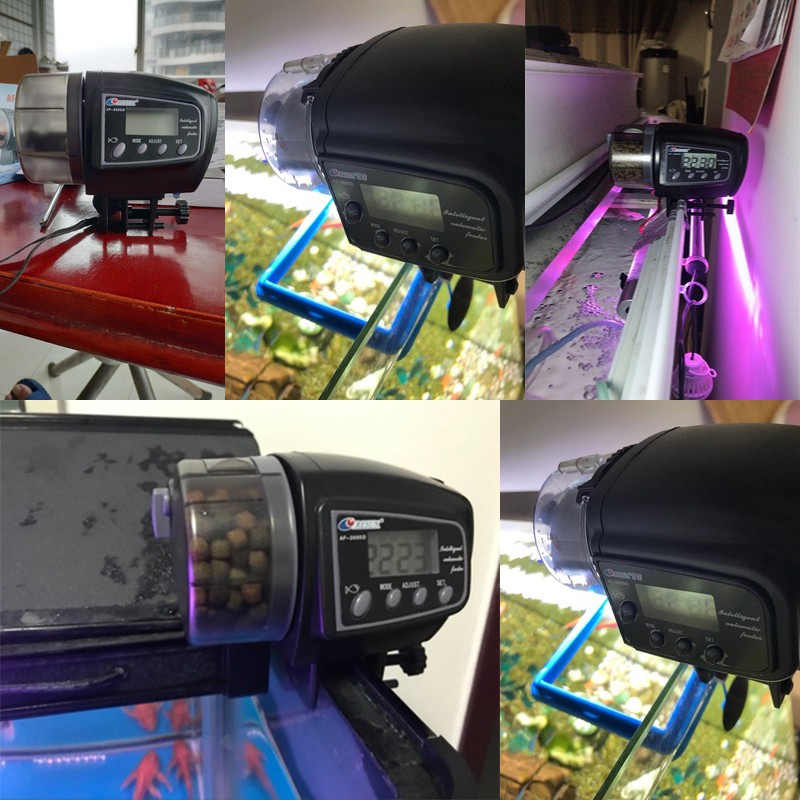 Máy cho cá ăn tự động Auto Feeder AF2009D