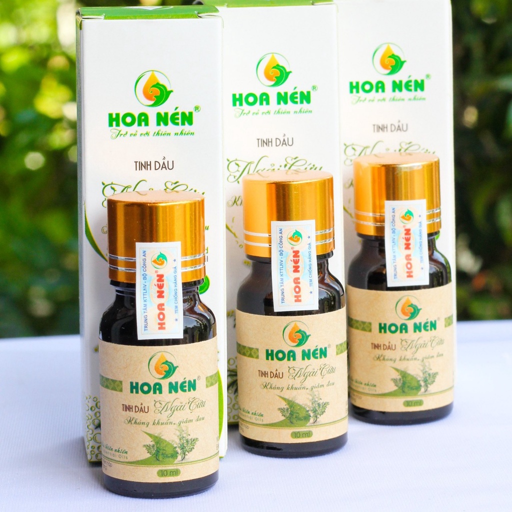 Tinh Dầu Ngãi Cứu Nguyên Chất Hoa Nén 10ml