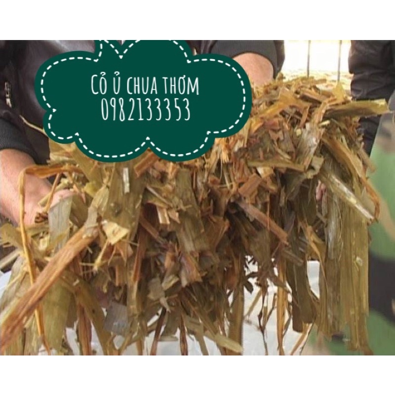 Men ủ chua cỏ ngô DNAC,KL:500g,ủ 2,5 tấn,có kèm quy trình ủ