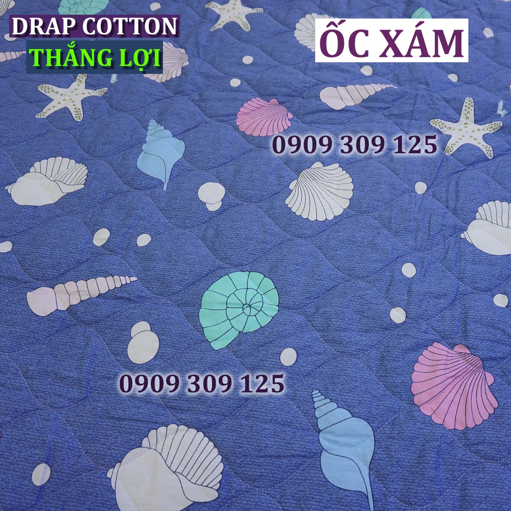 Bộ drap 1m6 + mền Thắng lợi cao cấp (ga giường 5 món) chuẩn logo cotton 100%