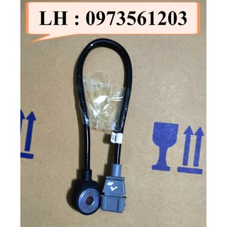 Cảm biến tiếng gõ Nubira, Lacetti, Gentra, Spark