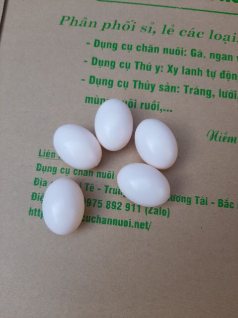 Trứng bồ câu nhựa - giả - combo 50 quả