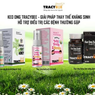 Keo ong xanh Tracybee hương vị bạc hè the mát dành cho người lớn và trẻ em trên 24 tháng tuổi-giảm viêm họng-ho -30ml