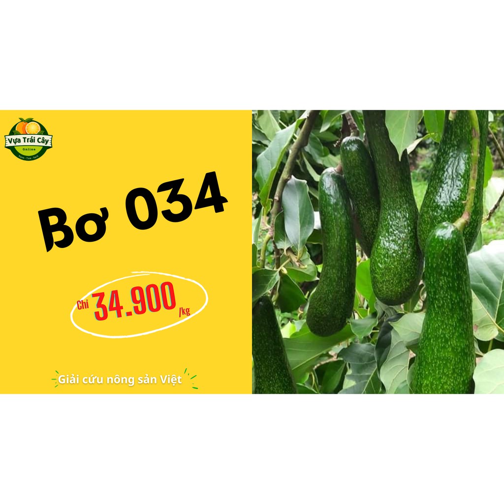 [HCM]- Bơ 034- Mềm dẻo, béo thơm