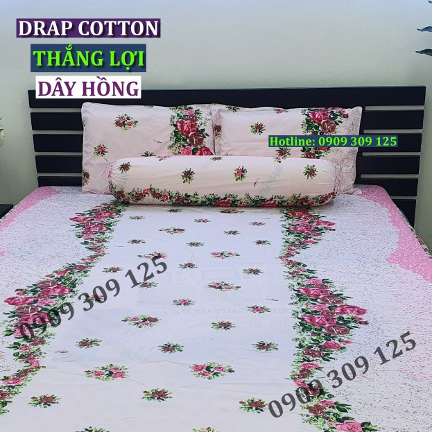 Vỏ gối nằm, ôm cotton Thắng Lợi, ga giường chính hãng ( ảnh thật) | BigBuy360 - bigbuy360.vn