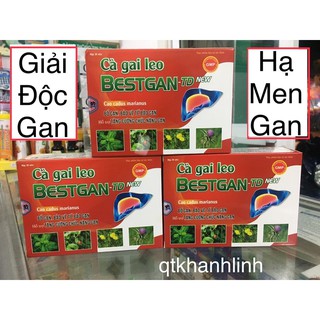 ✅(CHÍNH HÃNG) Cà gai leo Bestgan TD, giải độc gan, hạ men gan, tăng cường chức năng gan.