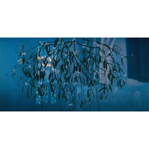 MISTLETOE