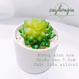 Cây giả - xương rồng nhựa pvc ms61