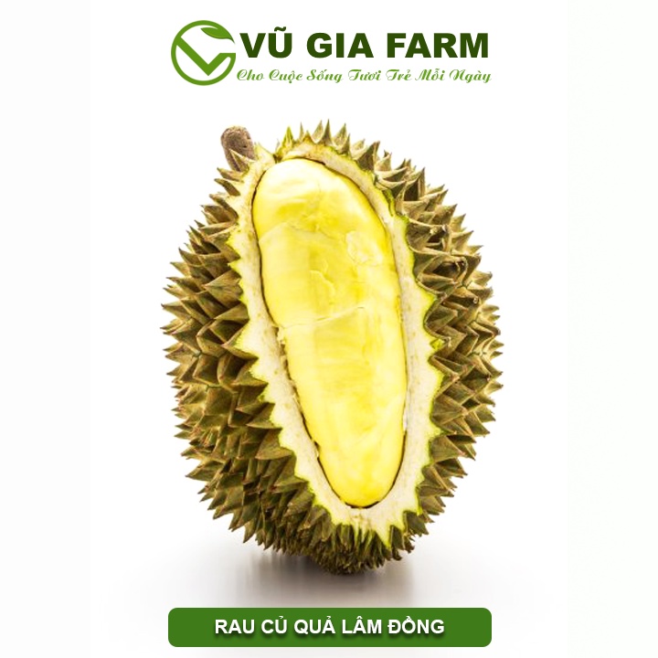 Cơm sầu riêng Ri6 Lâm Đồng Vũ Gia Farm ( 200gr/ 400gr)