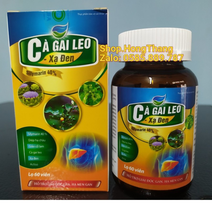 Bổ Gan Cà Gai Leo xạ đen bổ gan, mát gan, hạ men gan, tăng cường chức năng gan, Giải Độc Rượu -Bảo Vệ Gan