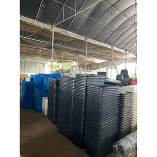 com bo 10 chậu trồng rau