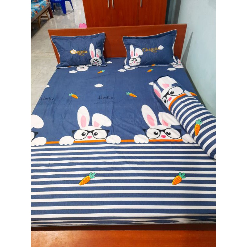 Bộ ga, vỏ gối cotton poly 4 món