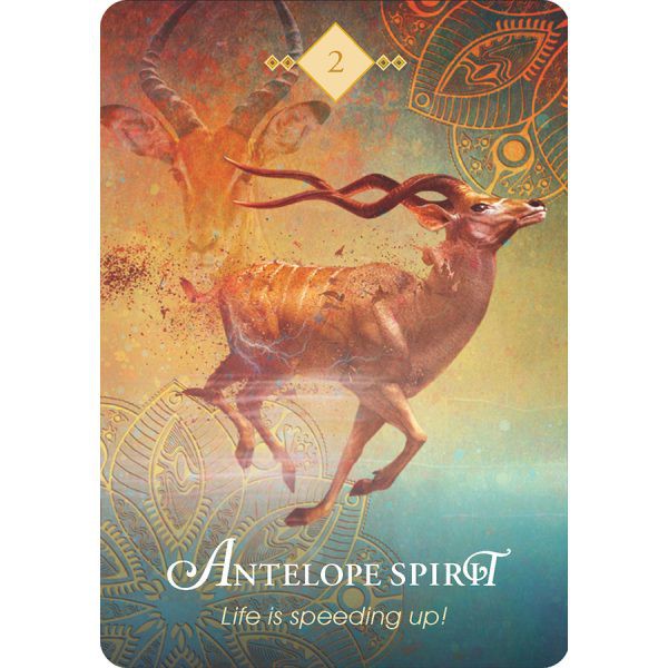 Bộ Bài The Spirit Animal Oracle (Mystic House Tarot Shop)