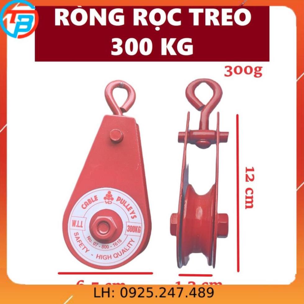 Ròng Rọc Pully 300 kg CÁP THÉP Thái Bình VinàN