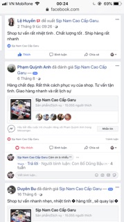 Áo 3 lỗ Armani cao cấp nhập khẩu